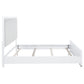 Gracemont 57-inch California King Panel Bed Grey and White